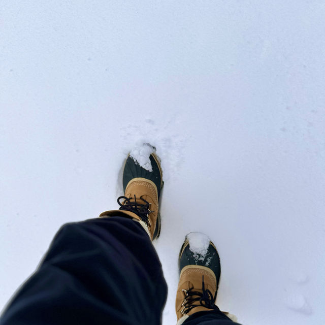 눈꽃이란 이런것 - 관악산 등산