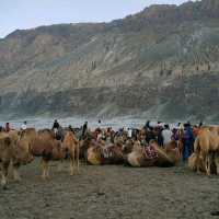 Hunder Sand Dunes w Camel Ride
