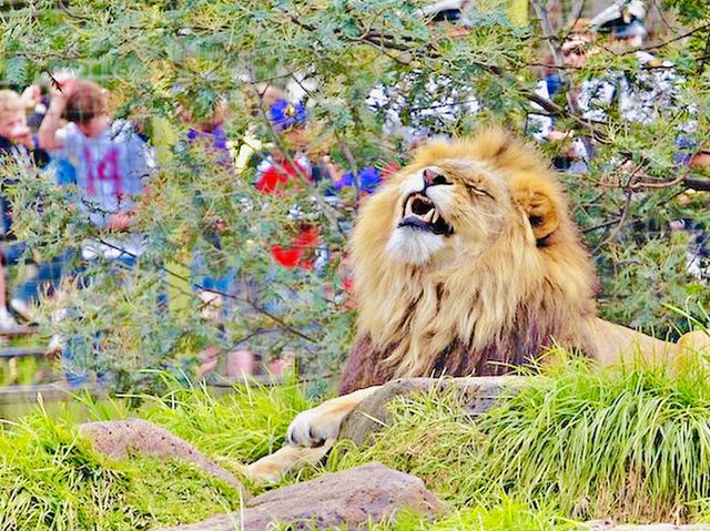 Melbourne Zoo