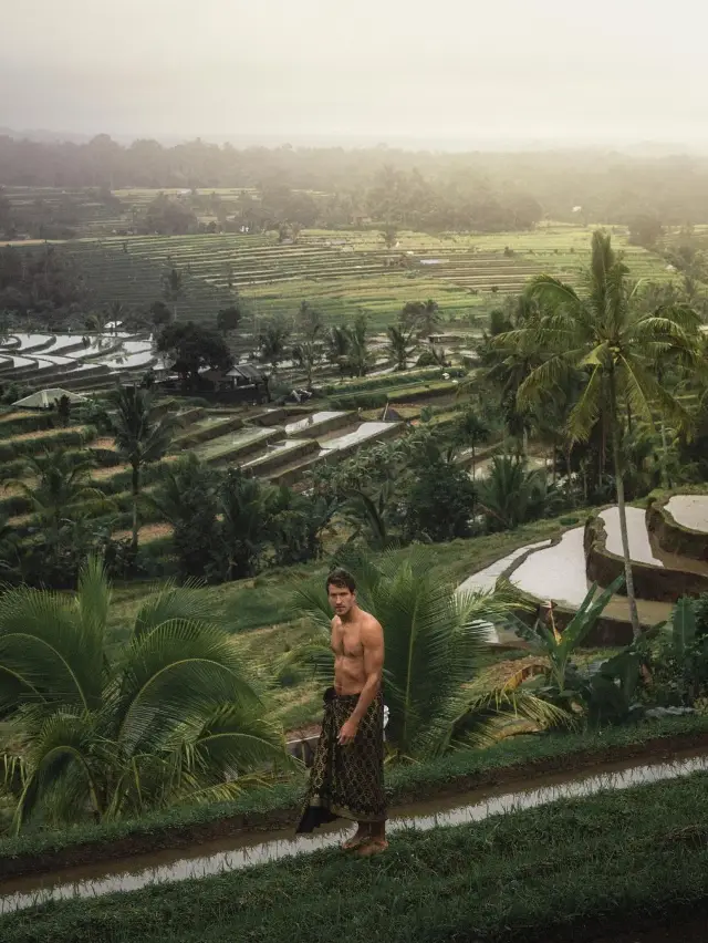 뜨갈랑랑 계단식 논 Bali 🇮🇩