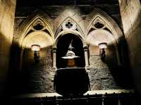The Wizarding World of Harry Potter