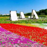 【臺北景點】古亭河濱公園花海，最佳休閒好去處