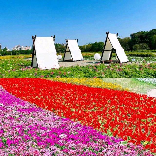 【臺北景點】古亭河濱公園花海，最佳休閒好去處