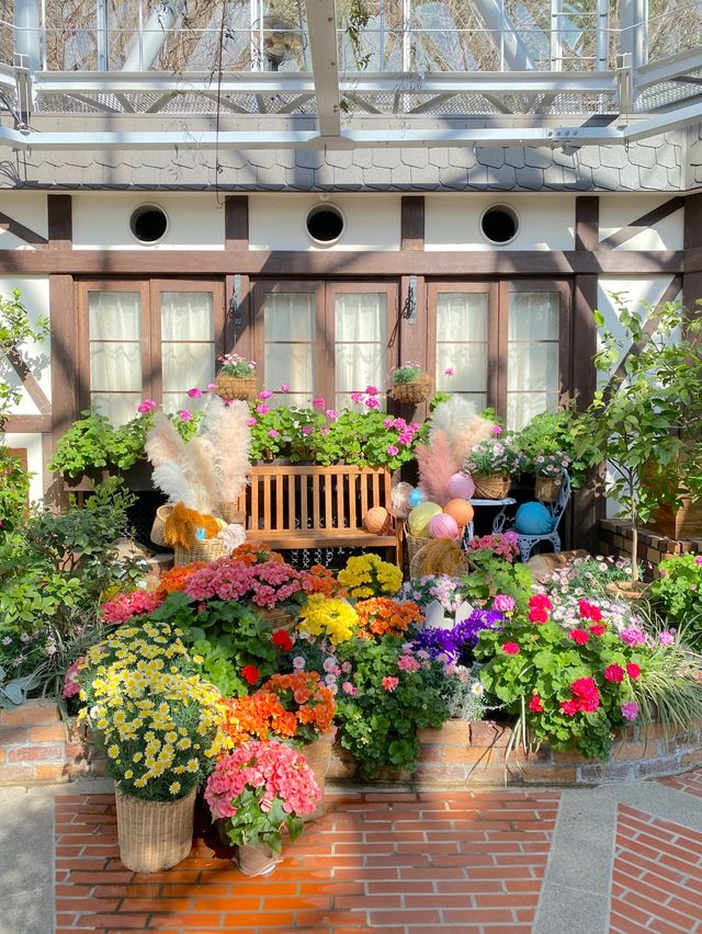 美しすぎる花の空間！神戸布引ハーブ園絶対外せないグラスハウス