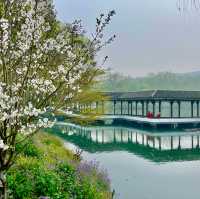 Jihong Bridge: Nature's Rainbow Gateway