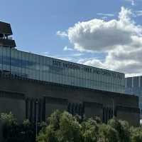 The view from Tate Modern