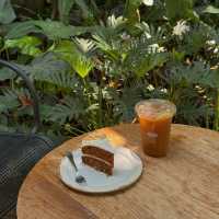 MiVana Organic Forest Coffee