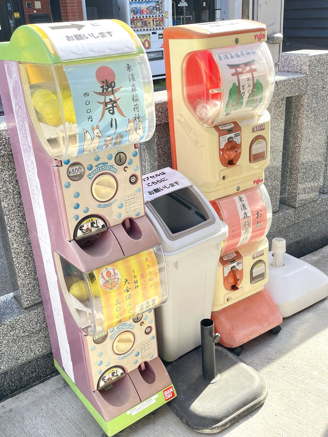 【東灌森稲荷神社/東京都】Ｙ字に埋まるように鎮座する