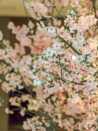 東京｜酒店大堂的櫻花 優雅浪漫🌸