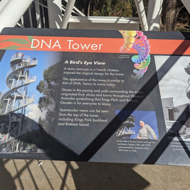 DNA Tower Perth