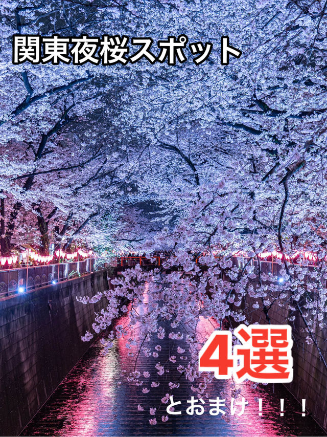 関東　夜桜写真スポット4選