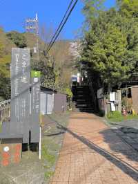 【大山阿夫利神社/神奈川県】春は華やかな枝垂れ桜のもとで参拝