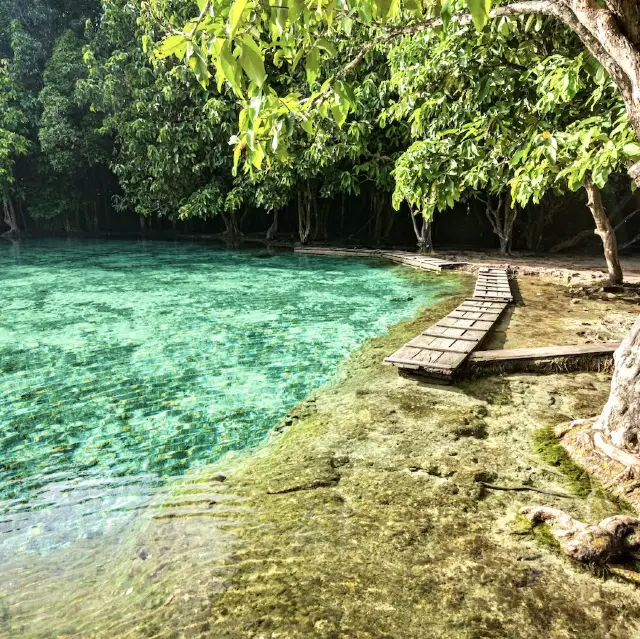 🩵 Amazed by the beauty of these emerald lagoons 💎