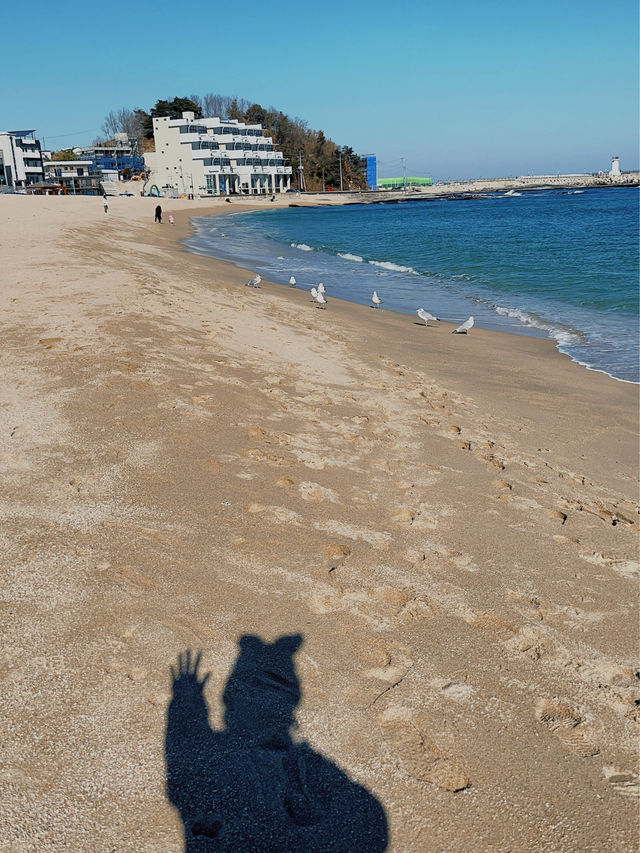 겨울은 역시 강원도죠