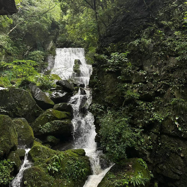 贊丹山：原始山林～大自然壯美恢弘