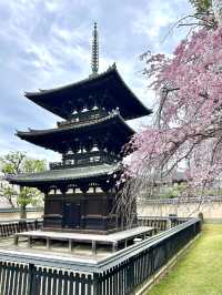 Kofuku-ji Sanjunoto เจดีย์ 3 ชั้นมรดกชาติ จ.นารา