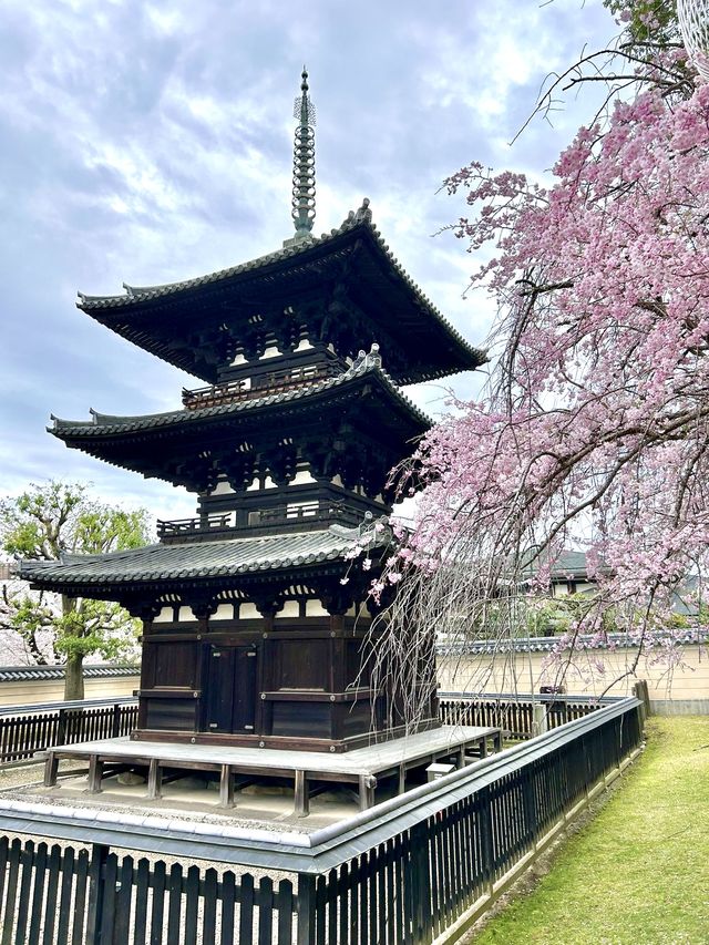 Kofuku-ji Sanjunoto เจดีย์ 3 ชั้นมรดกชาติ จ.นารา