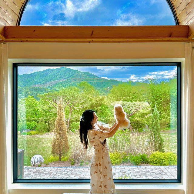 양평 숲캉스 감성 숙소 : 스테이율 🏡