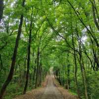 珠海二井灣濕地公園～感受大自然的恬靜優雅