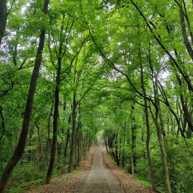 珠海二井灣濕地公園～感受大自然的恬靜優雅
