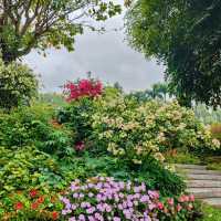 澳門花城公園：自然禪境～漫步放鬆