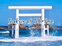 Sakurai Shrine เสาโทริอิสีขาวกลางทะเล จ.ฟุกุโอกะ