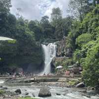 The 2 must visit places in Ubud, Bali.