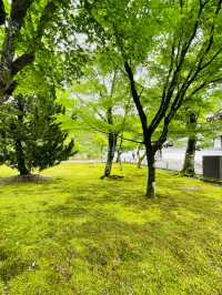【京都府】南禅寺の中心となる建物「法堂」
