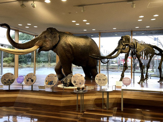 Toyama Science Museum