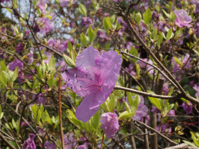 【首爾景點】「汝矣島公園」：首爾市中心清幽綠洲🌳，享受大自然，令人感到份外滿足‼️