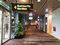 Butterfly Garden