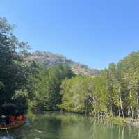 เที่ยววนอุทยานปราณบุรี ดูป่าชายเลน
