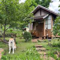 MORI NATURAL FARM | โฮมสเตย์สุดน่ารักสไตล์ญี่ปุ่น