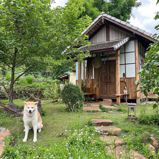 MORI NATURAL FARM | โฮมสเตย์สุดน่ารักสไตล์ญี่ปุ่น