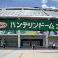 プロ野球観戦の旅！バンテリンドームナゴヤ