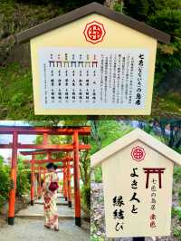 〜栃木県〜7色鳥居⛩️恋愛パワスポ織姫神社🎋