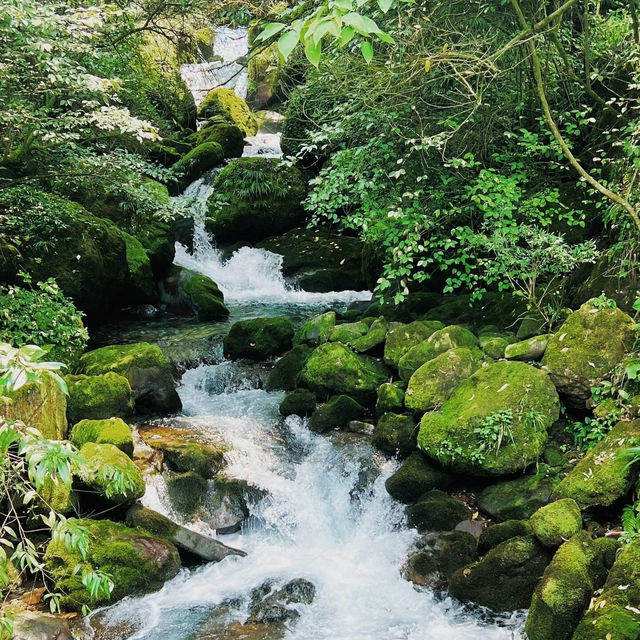 法華滝：感受大自然的力量