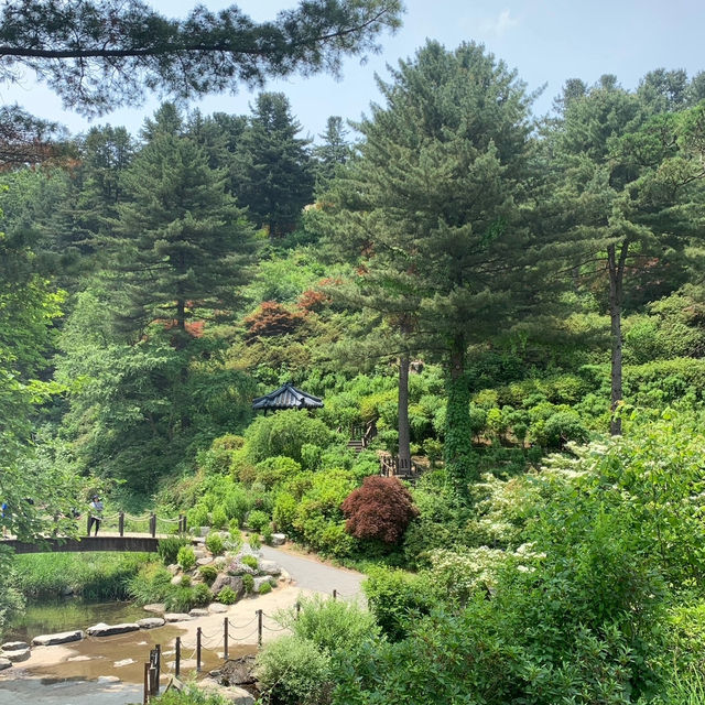 경기도의 여름을 느낄 수 있는 아침고요수목원