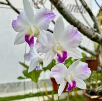 Stay near Limestone Caves at The Kandu