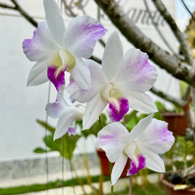 Stay near Limestone Caves at The Kandu