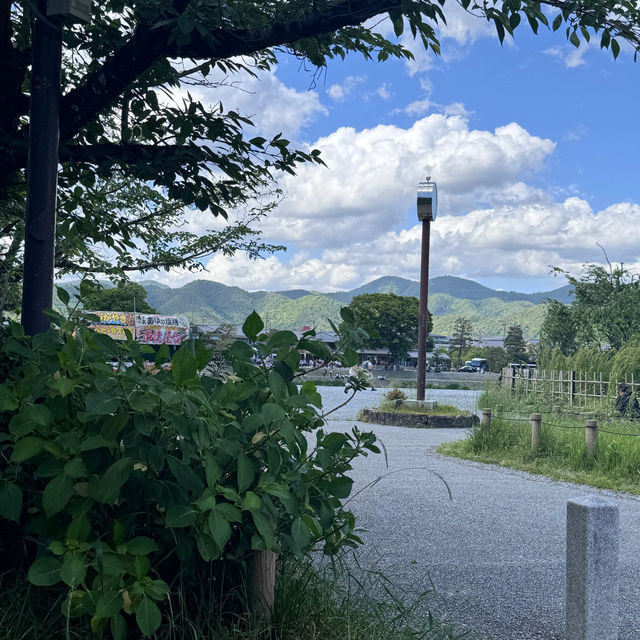 京都渡月橋都好靚！唔好淨係影竹林！