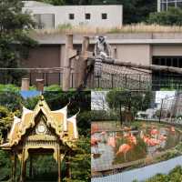 「東京上野動物園：古老動物園，適合家庭遊覽和學校教育」