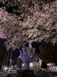 〜神奈川県〜桜と岡本太郎アート作品😳