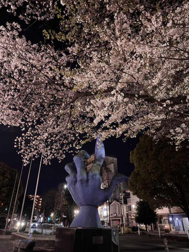 〜神奈川県〜桜と岡本太郎アート作品😳