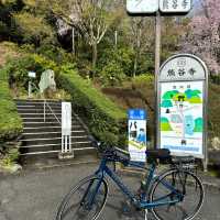 四國遍路+瀨戶內海單車遊