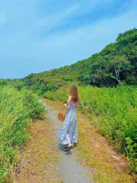 東京から2時間で行ける無人島🏝✨癒しの南国リゾート沖ノ島😎🌺【千葉】