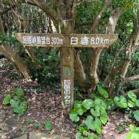 【高知県】四国最南端の絶景！足摺岬をご紹介