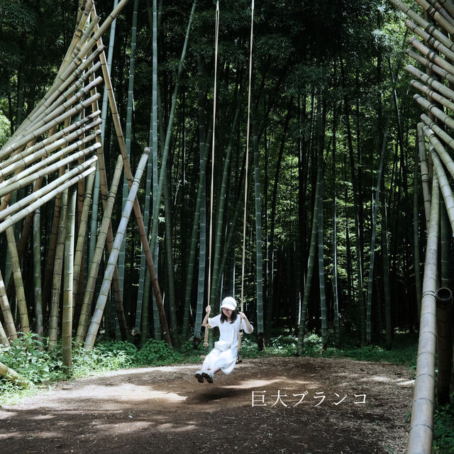 【栃木】るろうに剣心のロケ地🎋「若竹の杜 若山農場」