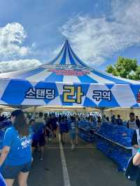 여름 페스티벌은 여기🩵
