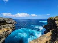 Dinosaur Island and Broken Beach in Nusa Penida Indonesia
